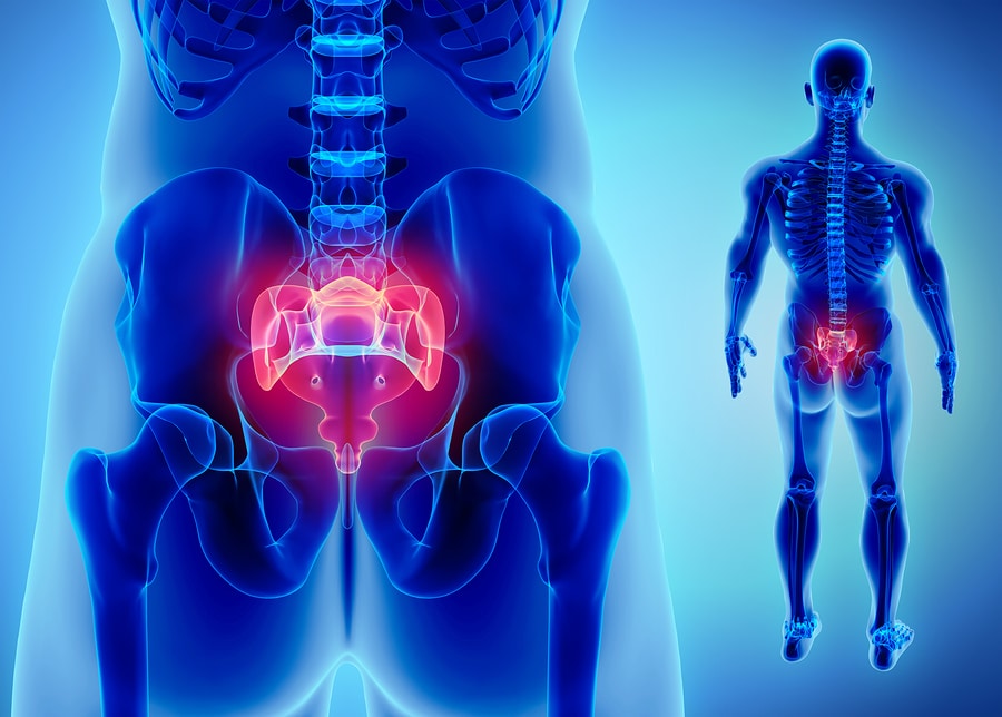 The 8 Best Coccyx Cushion To Relief Tailbone Pain in 2021 - Mobility